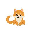 Orange Cat