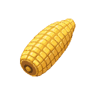corn cob