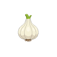 garlic bulb