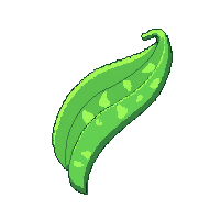 green beans