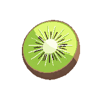 kiwi slice