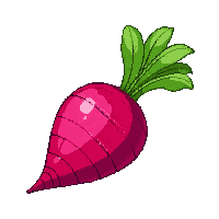 radish