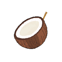 coconut midnight