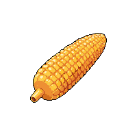 corn cob midnight