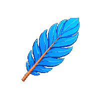 feather midnight
