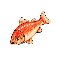 fish cooked midnight