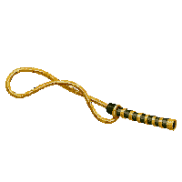 golden whip midnight