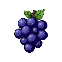 grapes bunch midnight