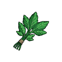 herb bundle midnight