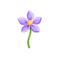 mana flower midnight