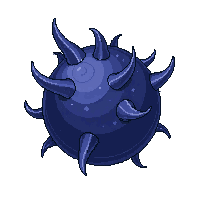 mandrake root midnight