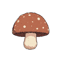 mushroom brown midnight
