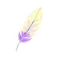 phoenix feather midnight