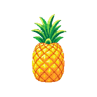 pineapple midnight
