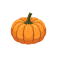 pumpkin midnight