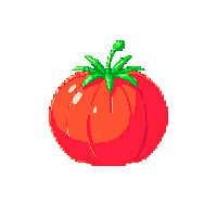tomato midnight