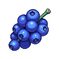 blueberry cluster
