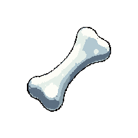 bone