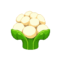 cauliflower