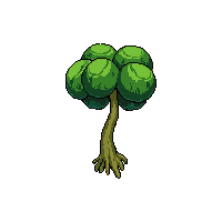 mandrake root