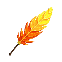 phoenix feather