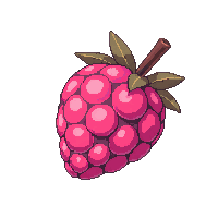 raspberry