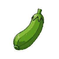 zucchini