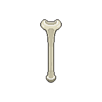 bone wand