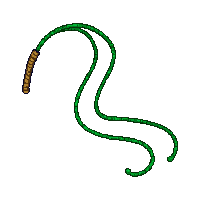 emerald whip