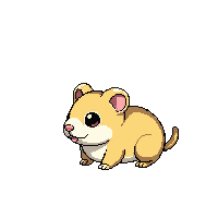 gerbil baby