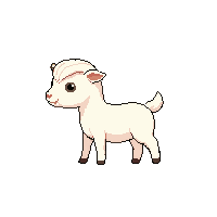 goat baby