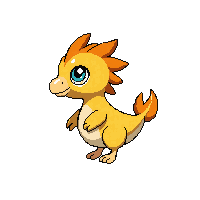 hawk baby