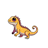 iguana baby