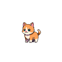 kitten baby