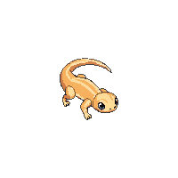 lizard baby
