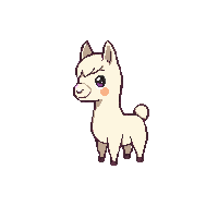 llama baby