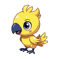macaw baby