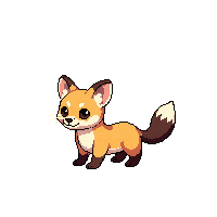 marten baby