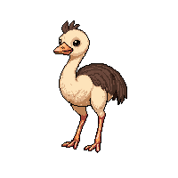 ostrich baby