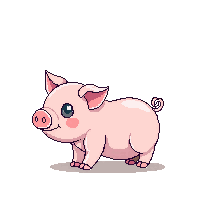 pig baby