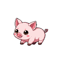piglet baby