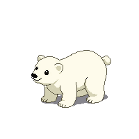 polar bear baby