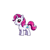 pony baby