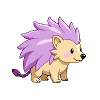 porcupine baby