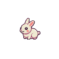 rabbit baby