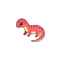 salamander baby