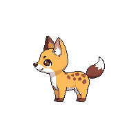 serval baby