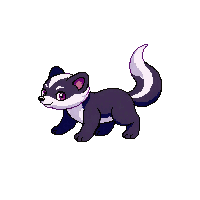 skunk baby
