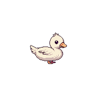 swan baby