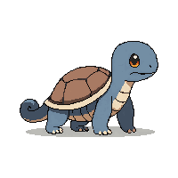 turtle baby